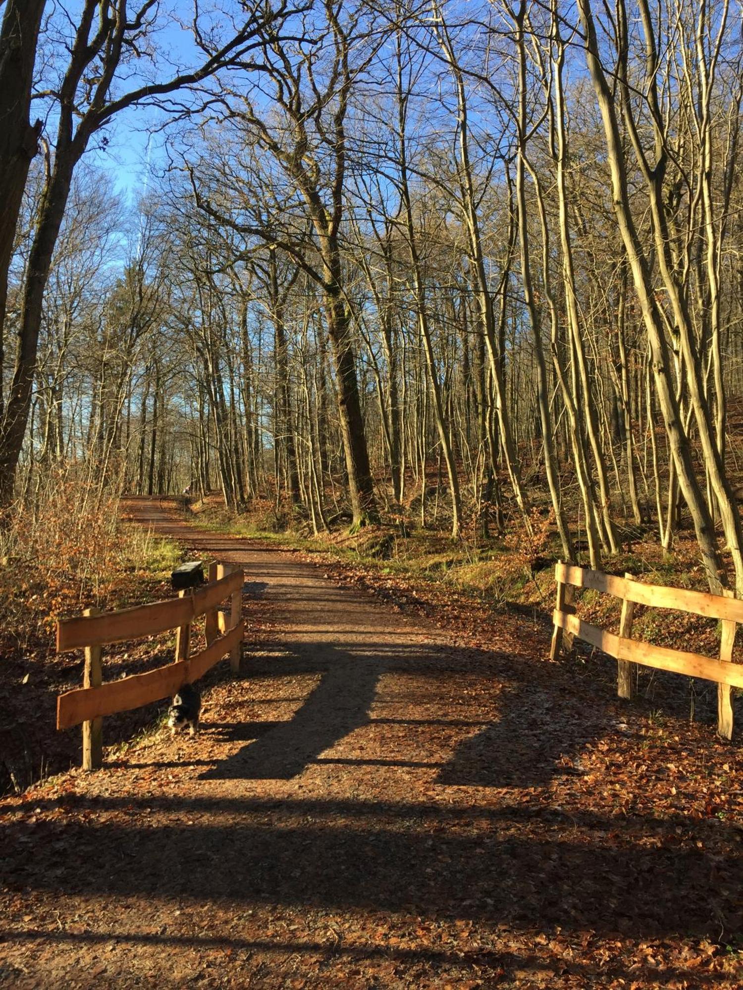 Waldmuehle Apartment Schleswig Luaran gambar